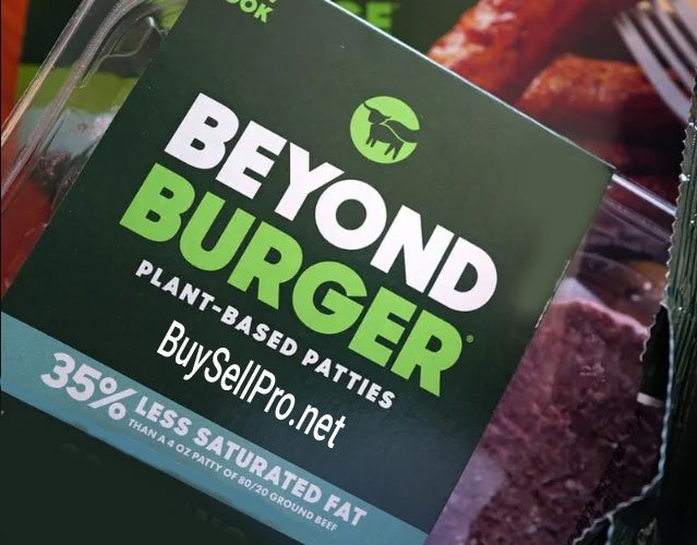 BYND Stock Analysis and Beyond Meat Financial Outlook 2025