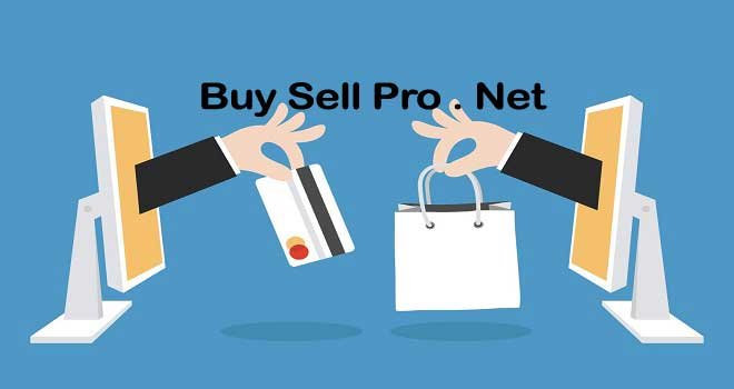 Buy Sell Pro Guide to E-Commerce Success for Smart Buyers & Sellers
